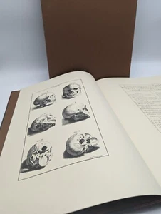 RARE Medicina Rara Book by Bernardino Genga, Anatomy Human Body Skeleton, Folio - Picture 1 of 24