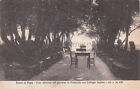 ROCCA DI PAPA - Viale alberato nel giardino in Palazzola, Collegio Inglese 1930