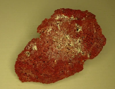 Red pipe Coral piece vintage - Image 1 of 4