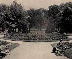 Cartolina antica RPPC Orange Park in arancione New York NY uomo sulla panchina  - Foto 1 di 3