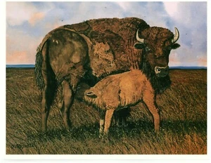 Prairie Madonna - Small Prints - George Boutwell - Picture 1 of 1