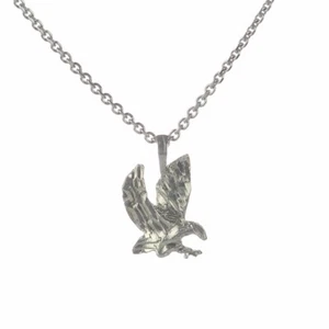 Massiver Sterling Silber Landungsadler Anhänger mit 20" 925 Silber Rolo Kette - Bild 1 von 4