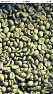 2 POUNDS green coffee beans – your choice of beans – MANY to choose from - Picture 1 of 5