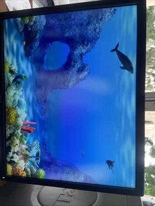 Dell P1917s 19" IPS LED Monitor w/4-Port Hub USB 3.0 HDMI VGA DP P1917S - Picture 1 of 5