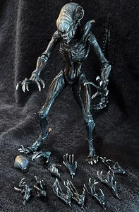 SCORCHED XENOMORPH • NECA ALIEN ROMULUS - Bild 1 von 6