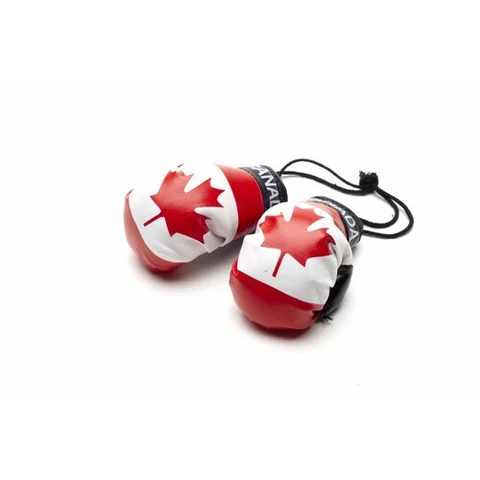 CANADA MINI BOXING GLOVES WORLD CUP CAR MIRROR/BACKPACK APPROX 4 INCHES Cover
