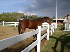 Koppelzaun Weidezaun Pferdezaun Ranchzaun Zaun Weiss - Bild 1 von 12