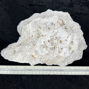 Large Uncut Geode Fossil 9-1/2" Quartz Crystal Botryoidal Chalcedony 10Lb Unopen - Picture 1 of 11