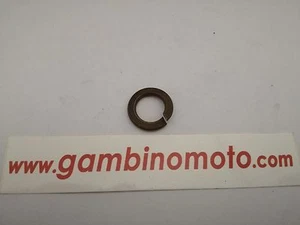 2 PEZZI RONDELLA SPACCATA LAMBRETTA FORO INTERNO MM12 - Imagen 1 de 1