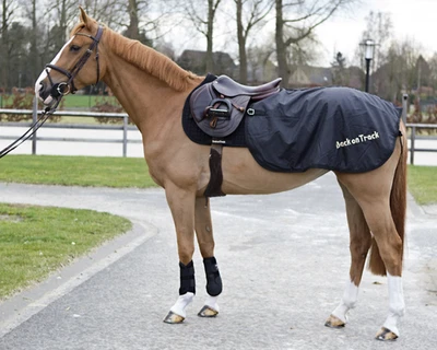 Abverkauf Back on Track Nierendecke/ Ausreitdecke Loin Therapiedecke Gr. 155 - Bild 1 von 2