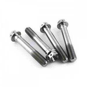 Pernos de montaje pinza delantera hexagonal hexagonal con especificaciones de carrera de titanio KTM RC8R 09-10 - Imagen 1 de 1