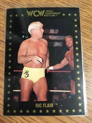 1991 WCW WRESTLING CARD RIC FLAIR SID VICIOUS  # 39 CHAMPIONSHIP MARKETING  - Image 1 of 2