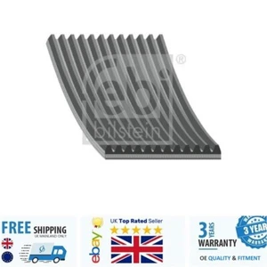 V-ribbed Belt 29119 504022568 FEBI - Picture 1 of 2