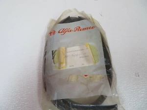Alfa Romeo Right Window Seal P/N 60726232 - Picture 1 of 6