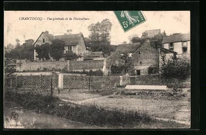 AK Chantecoq, Gesamtansicht der Fischzucht 1910 - Bild 1 von 2
