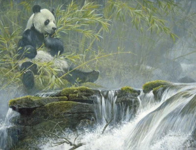 Robert BATEMAN Giclee LIENZO Panda Gigante Arte Limitado FIRMADO Numerado 29"x38" Certificado de Autenticidad Foto 1 de 4