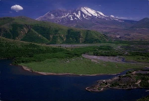 Washington WA Mount St. Helens, Charles Adams Postcard - Picture 1 of 2
