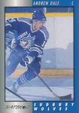 1994-95 Sudbury Wolves Team Issue #11 ANDREW DALE