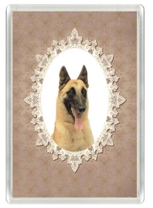 BELGIAN SHEPHERD DOG MALINOIS  ART PRINT ACRYLIC NOVELTY FRIDGE MAGNET GIFT - Picture 1 of 1