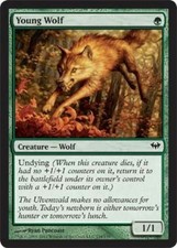 Young Wolf Near Mint Dark Ascension, MTG 2B3
