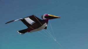 106508 Pelican 3D Kite - Huge 114" x 66" + Carry Bag  by HQ & Joel Scholz 283405