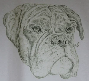 Boxer Dog T-Shirt and Sweatshirts Original drawn designs sizes 3-6 month to XXL  - Picture 1 of 3