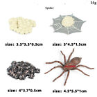 Toy Gift For Simulating The Growth Cycle Of Wild Animal Model Spider Insect