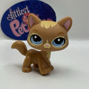 Walking Cat #3578 - Auténtico Littlest Pet Shop - Hasbro LPS - Imagen 1 de 4