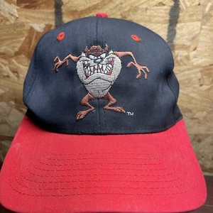 Vintage 1993 Taz Tasmanian Devil Looney Tunes Snapback Hat Cap Warner Bros. - Picture 1 of 19