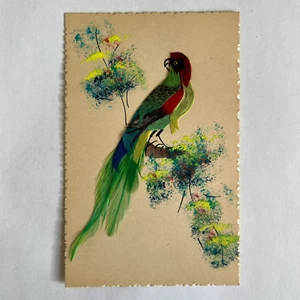 Postcard Exotic Bird With Real Feathers & Paint Handmade By Artist Mexico 006 - Picture 1 of 4