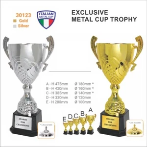 trophy/ sport medals / sport figure/ crystal trophy - Picture 1 of 1