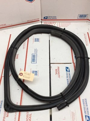 96-99 ISUZU OASIS LS PUERTA DELANTERA DERECHA PASAJERO SELLO IMPERMEABILIZANTE GOMA OEM Foto 1 de 4