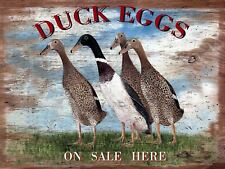 Duck Eggs,  Retro Metal Tin Sign Poster Plaque Garage Wall Decor A4