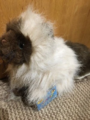 GANZ Webkinz HIMALAYAN Kitty Cat HM165 CODE - Image 1 of 3