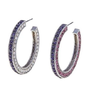HSN - Colleen Lopez Shade of Color Hoop Earrings Silver Purple - Picture 1 of 4