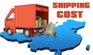 Extra Shipping Cost FedEx Priority or DHL Express - Picture 1 of 1