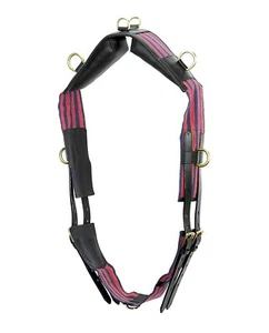 Training Girth For Horse In Canvas And Leather With Girth Strap - Picture 1 of 1