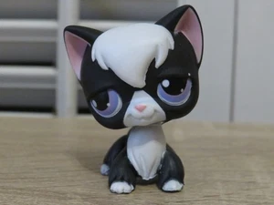 Littlest Pet Shop LPS No # Black & White Angora Puzzle CAT Purple Dot Eyes - Picture 1 of 11