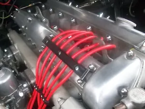 8MM Performance Zündleitungen Für Jaguar E Typ XJ6 Xk MK2 Und Klammer Trenner - Picture 1 of 3