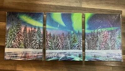 Canvas Wall Art for Bedroom or Living Room-3 pieces-Aurora-Ready to Hang-12x16 - Image 1 of 4