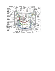 Ford Mustang 2019 Harness Location and PCM Connector (3) Pinout V8 5.0L pdf - Bild 1 von 2