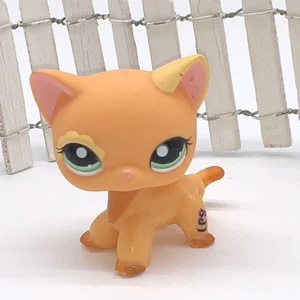 Littlest Pet Shop LPS 1643 Orange Flower Shorthair Cat with Green Eyes Authentic - Picture 1 of 5