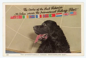 Famous Dogs Seal Fisheries Int'l Fishing Fleets ST JOHN'S Newfoundland 1940-50 - Picture 1 of 2