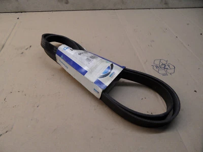Dayco V-Ribbed Strap BMW Audi Citroen Peugeot 8021787507461 5750TG - Image 1 of 2