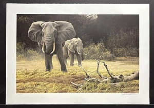 Impresión firmada por Robert Bateman edición limitada "elefante vaca y becerro" - Imagen 1 de 3