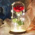 Beauty and the Beast Enchanted Rose in Glass Dome LED Wedding Mothers Gifts