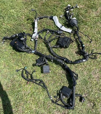 Conjunto de arnés completo 17-19 Infiniti Q50 3.0T OEM sala de motores 24012-6HH4C Foto 1 de 4