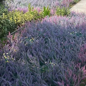 Artificial Flower Realistic Appearance Multi-purpose Simulation Lavender - Picture 1 of 24
