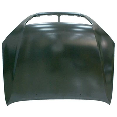 New OEM Hood Panel 5330160501 Fits 2003-2009 Lexus GX470 — 第 1/2 张图片