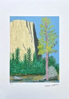 DAVID HOCKNEY - El traje de Yosemite no. 22 - Edición firmada, numerada 29/500 Foto 1 de 4